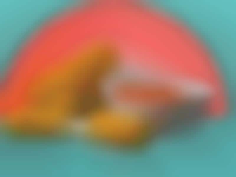 33 Examples of Handheld Food