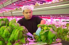 Large-Scale Vertical Farms