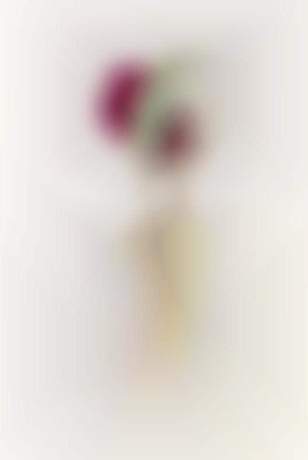 Floral Meditation Devices