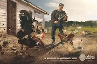 Elderly Employment Ads Image 3