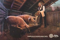 Elderly Employment Ads Image 4