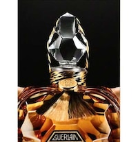 Turtle-Shaped Luxury Perfumes Image 3