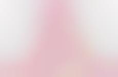 Animalistic Lighting Solutions