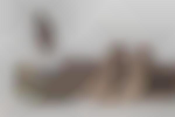 Cushioned Desert Sneakers