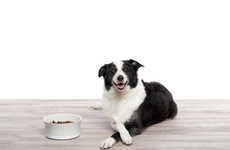 Weight-Tracking Pet Bowls
