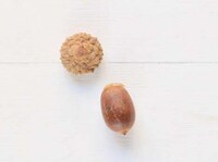 DIY Thanksgiving Place Cards Image 3