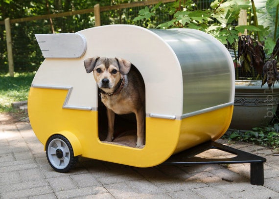 100 Presents for Dog Lovers