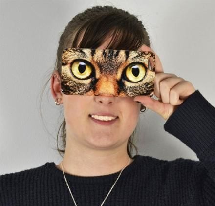 55 Gifts for the Cat Lover