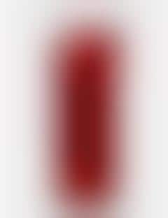 Festive Scarlet Champagne Cocktails