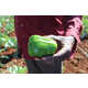 Solar-Powered Irrigation Systems Image 3