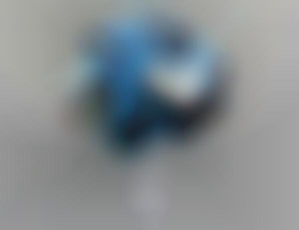 Spherical Video Capturers