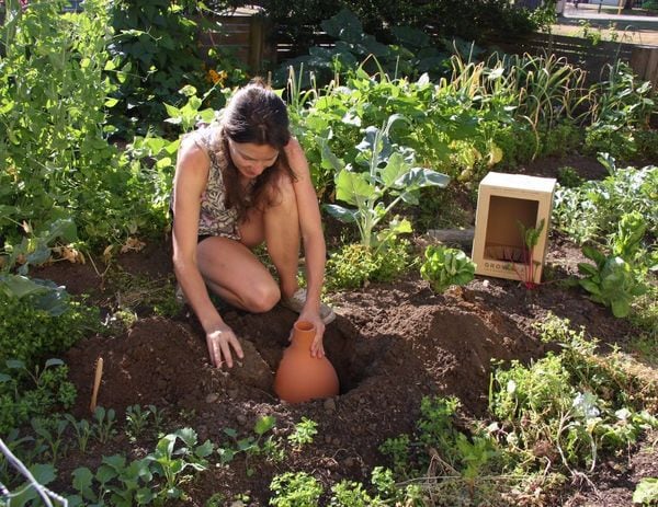 100 Gifts for the Environmentalist