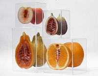 Skeletal Fruit Carvings Image 3