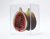Skeletal Fruit Carvings Image 4