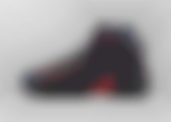 lbj13