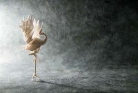 Intricate Origami Artwork Image 7