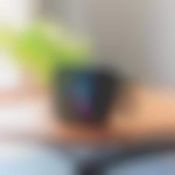 Visual Feedback Speakers