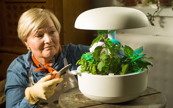 100 Gift Ideas for Gardeners