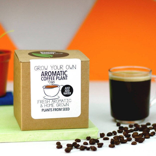 Homegrown Coffee Kits