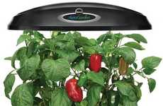 Indoor Vegetable Aerogardens