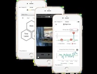 App-Connected Beehives Image 3