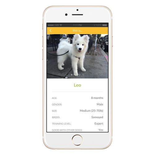 Dog-Borrowing Apps