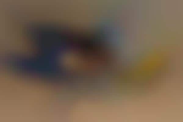 Versatile Smart Tools