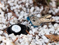 Smart Minuscule Trackers Image 5