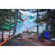 Elevated Treetop Tents Image 2