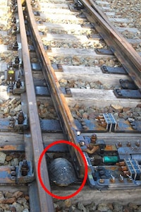 Underground Turtle Tunnels Image 2