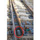 Underground Turtle Tunnels Image 2