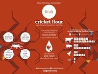 Cricket Flour Snack Bars Image 2