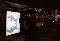 Activism-Inspired Ads Image 8
