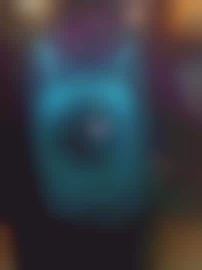 Spaceship-Like Cat Carriers