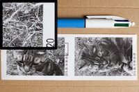 DIY Instant Cameras Image 6