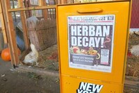 Newsworthy Compost Bins Image 2