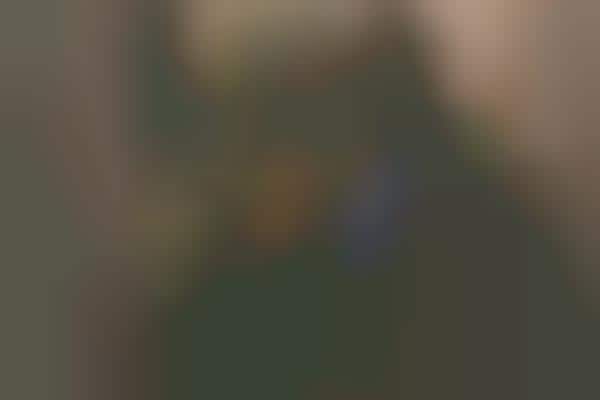 Retro Bohemian Lookbooks