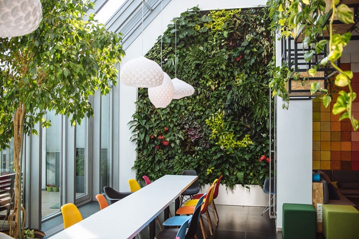Playground-Inspired Green Offices