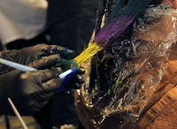 Oil Slick Hairstyles Image 7