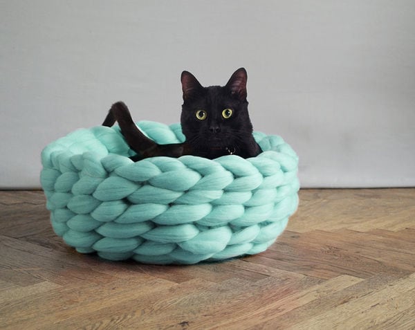 Top 100 Pet Trends of 2015