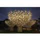 Illuminated Bamboo Towers Image 2
