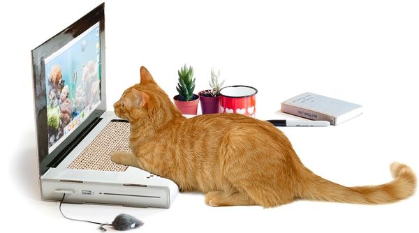 Top 100 Internet Trends of 2015