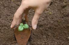 Organic Gardening Pods