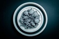 Coral Clock Installations Image 2