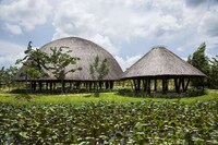 Bulging Bamboo Pavilions Image 7