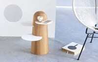 Foliage-Inspired Furniture Image 2