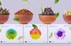 Botanical Tea Branding