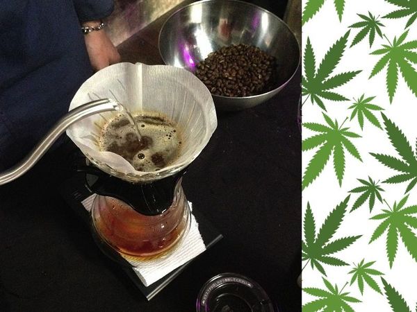 41 Gifts for Cannabis Enthusiasts