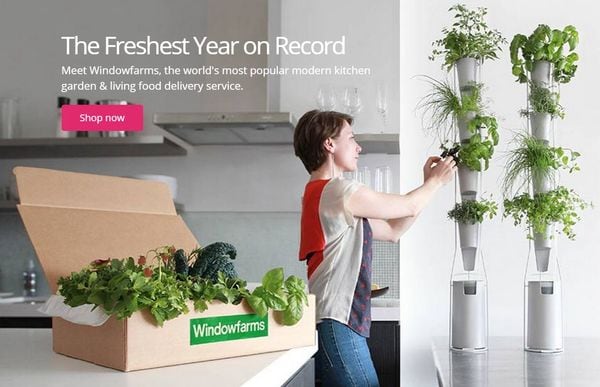 33 Indoor Gardening Innovations