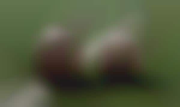 Athletic Practice Equipment